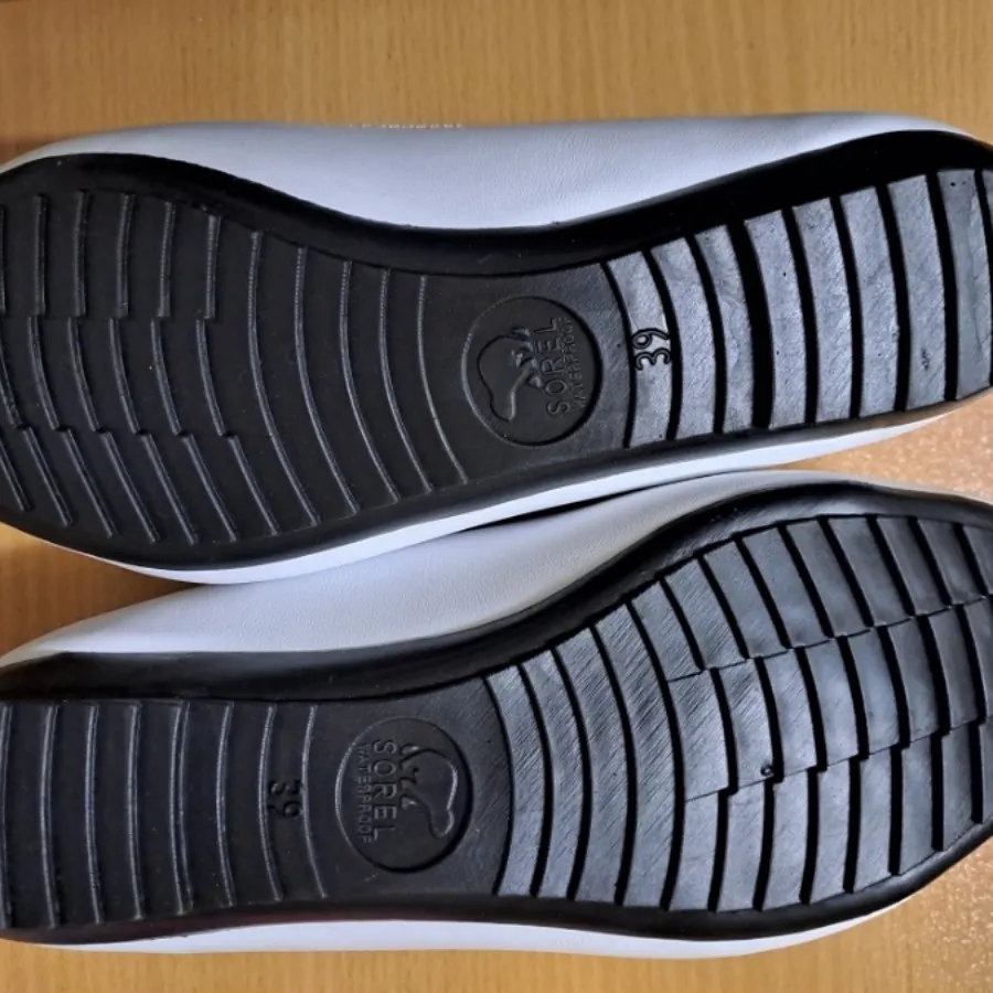 کالج سفید ترند