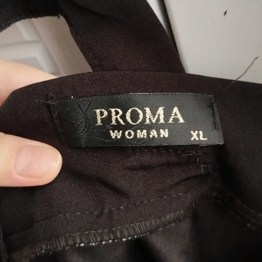 اورال دامنی مجلسی