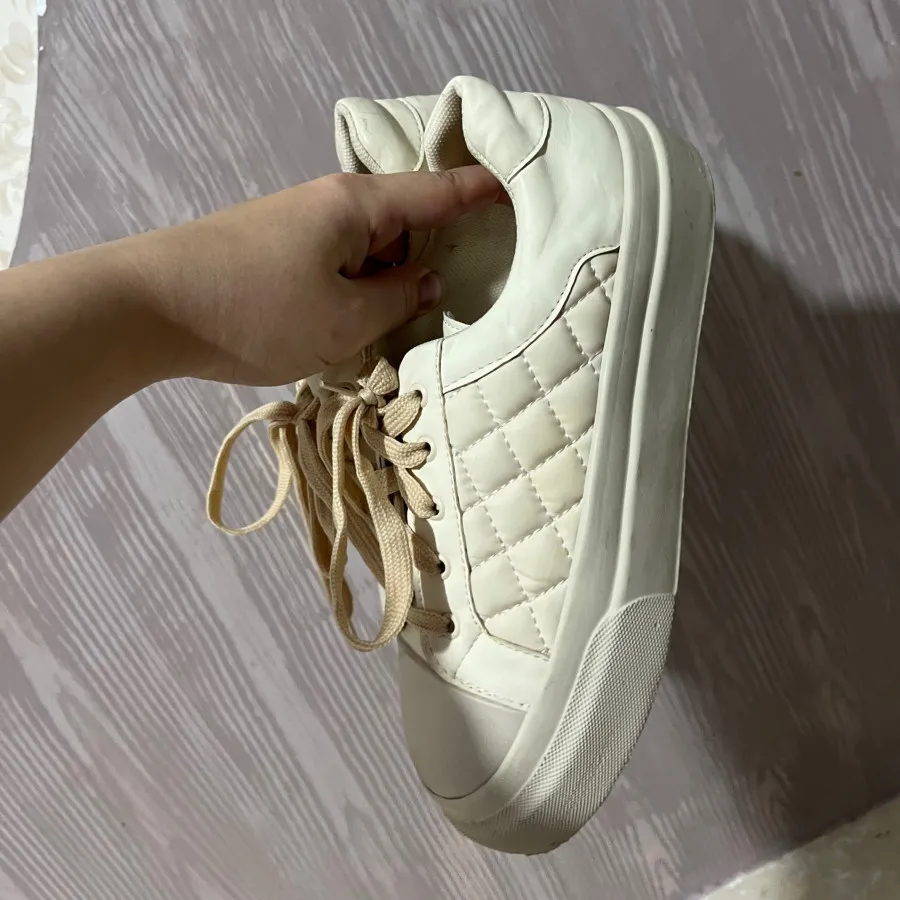 ونس‌ اسپورت