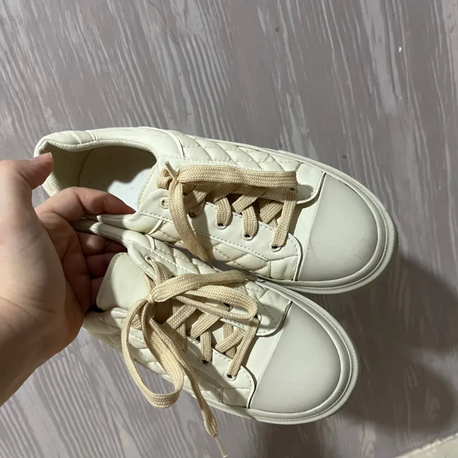 ونس‌ اسپورت