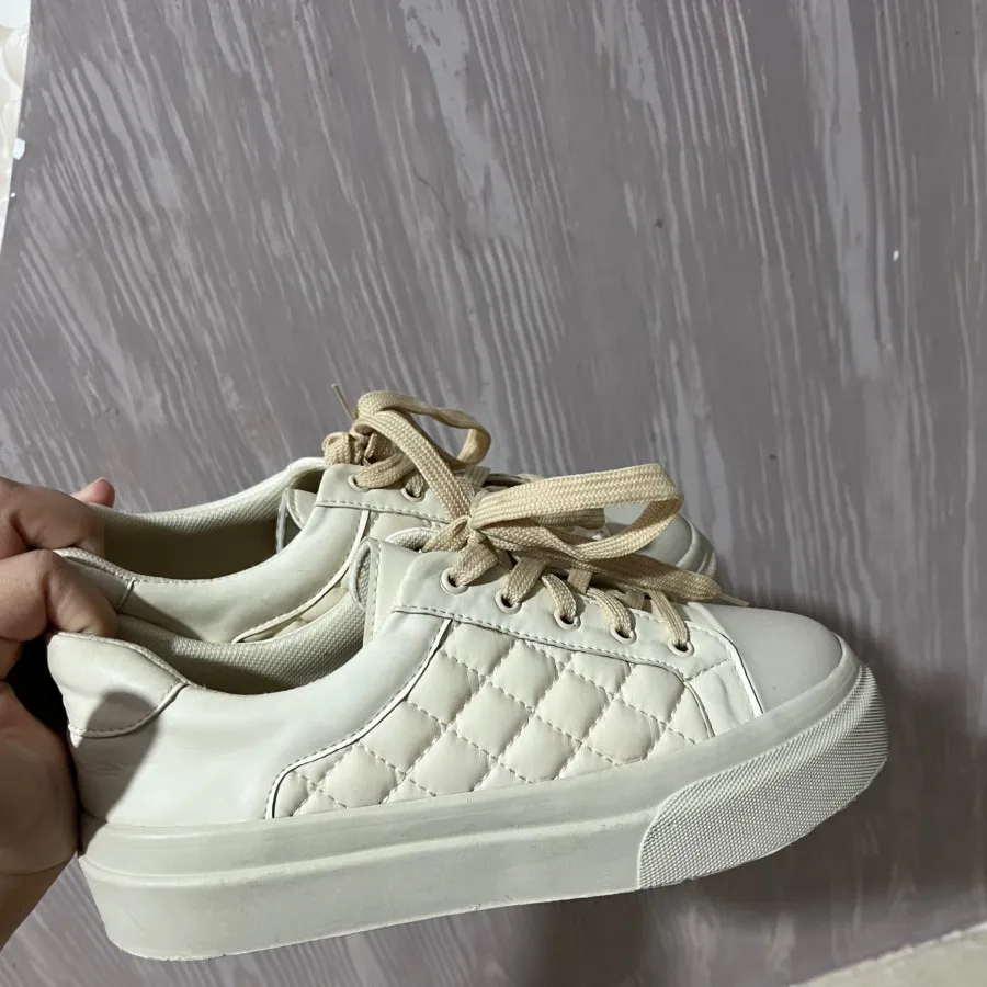 ونس‌ اسپورت