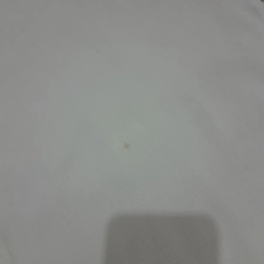 دامن شلواری