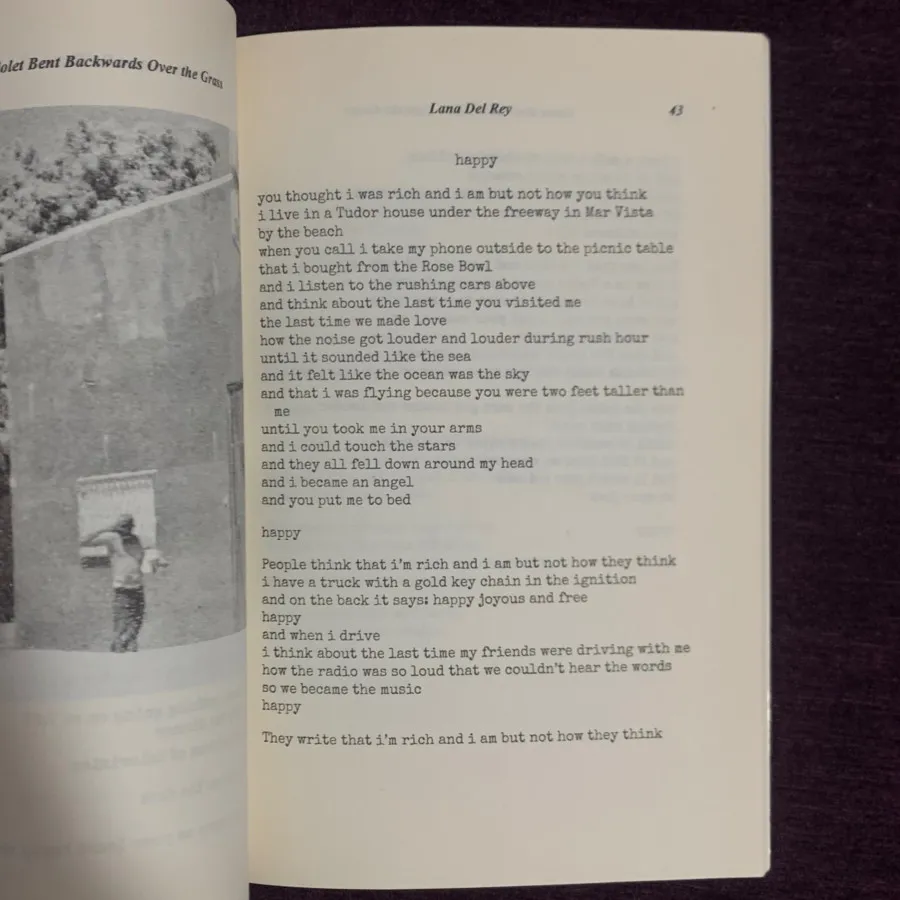 کتاب اشعار لانا دل ری