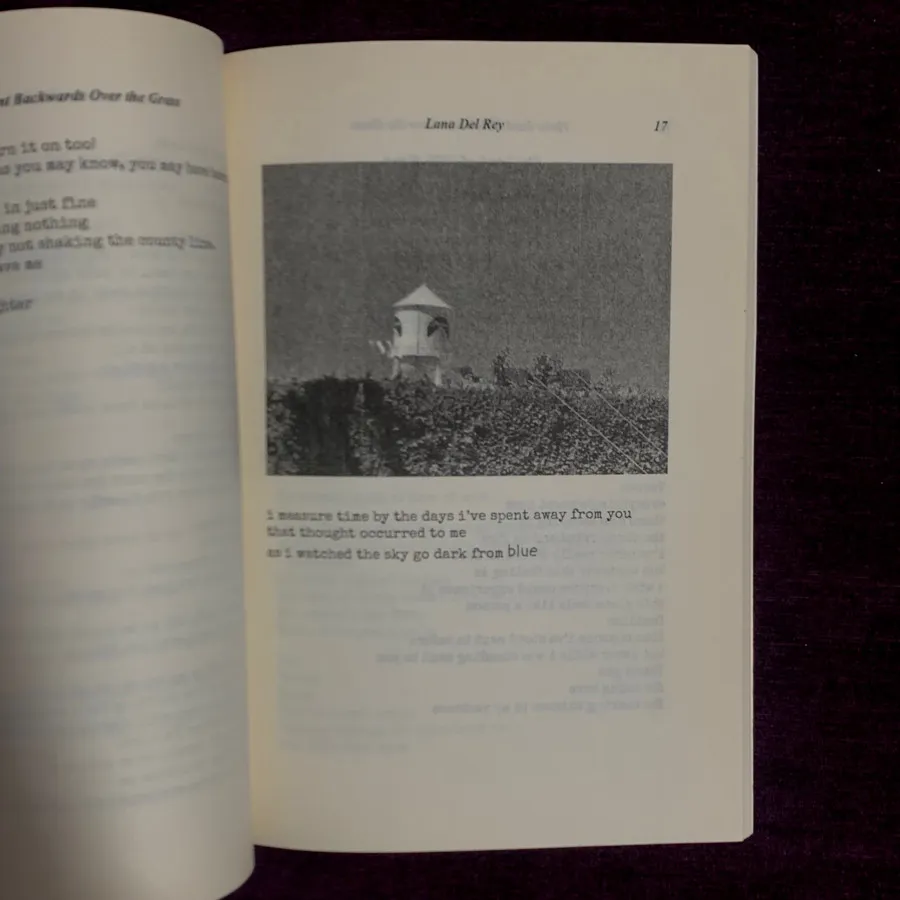 کتاب اشعار لانا دل ری