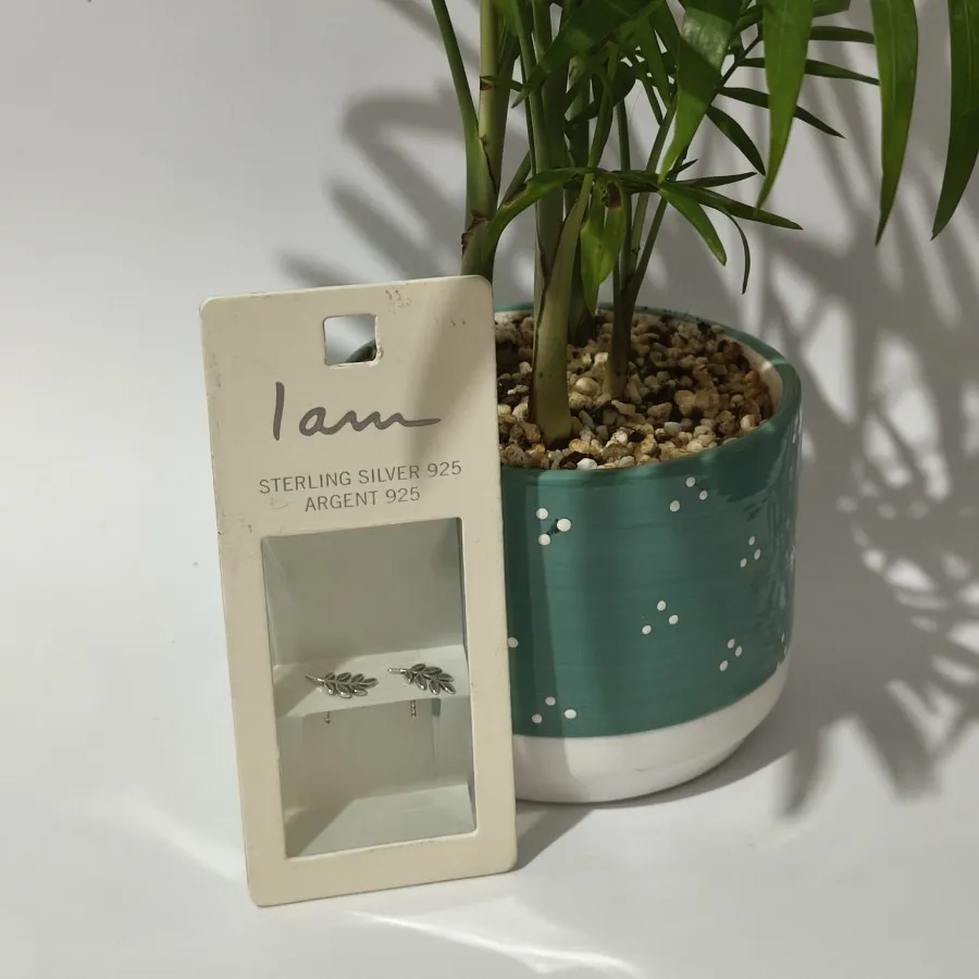 گوشواره نقره