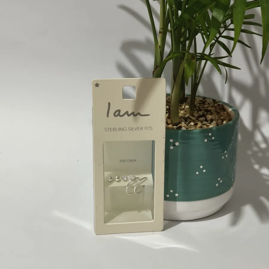 پک گوشواره نقره