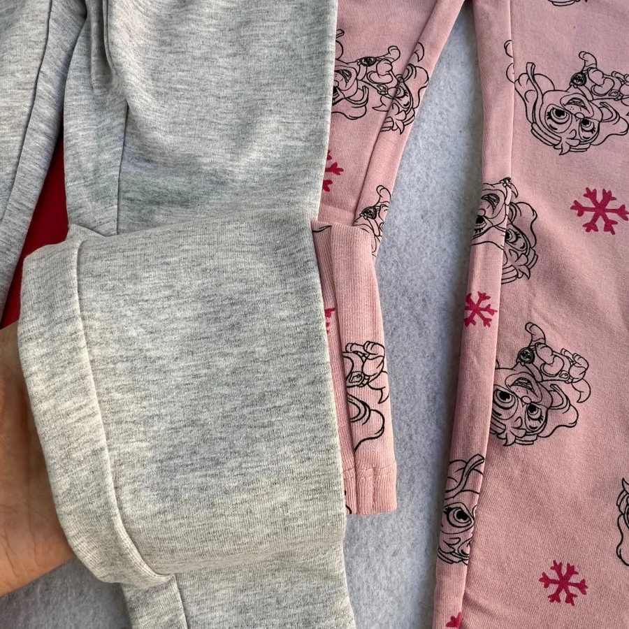 لگ داخل کرکی سگ نگهبان