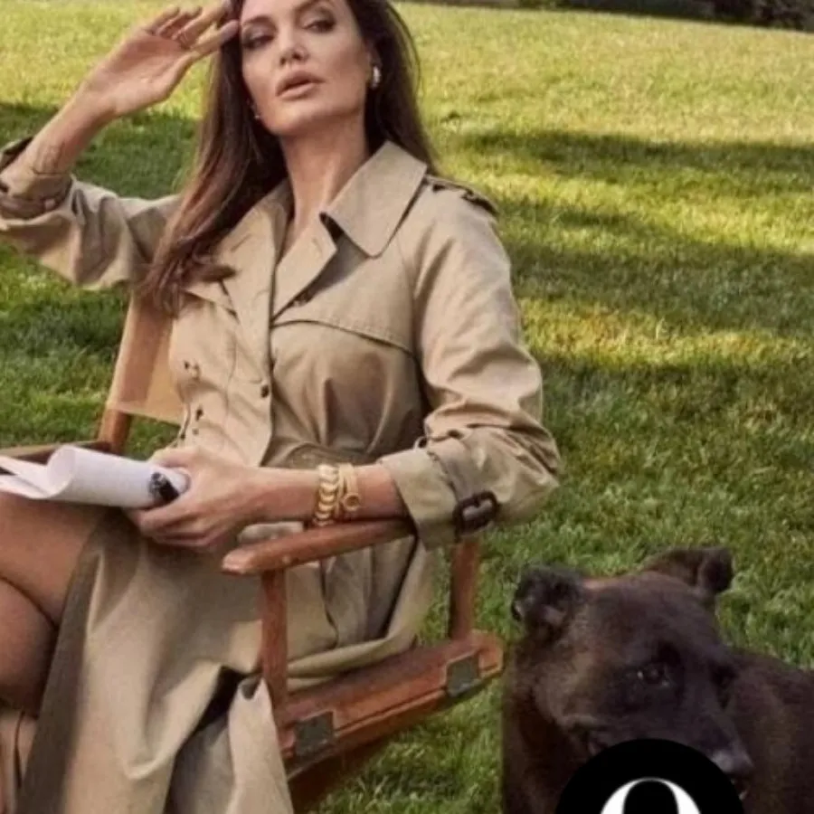 ترنچکت کریستین دیور dior