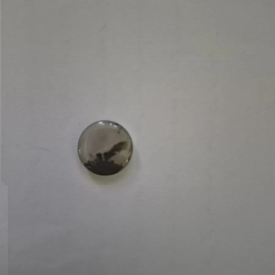 سنگ شجر قاینات