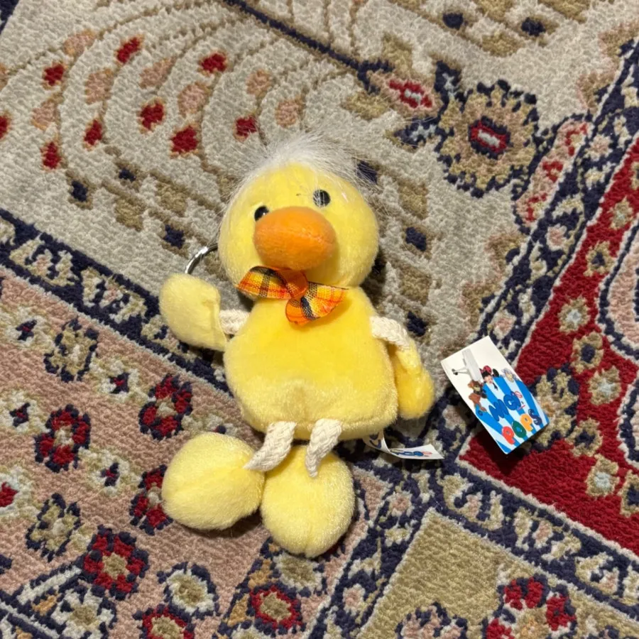 جاسوییچی عروسکی آلمانnici