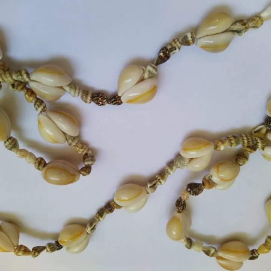 گردنبند صدف