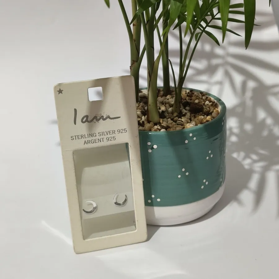 گوشواره نقره