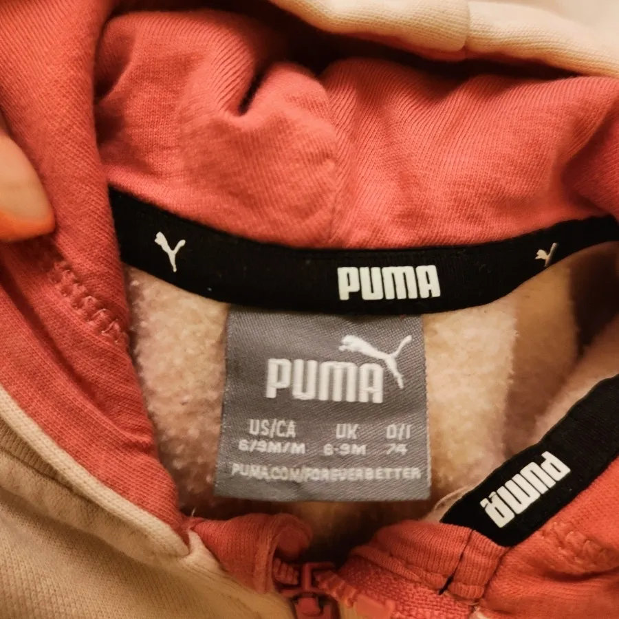 ست تو کرک پوما