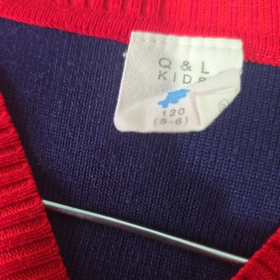 پلیور اروپایی