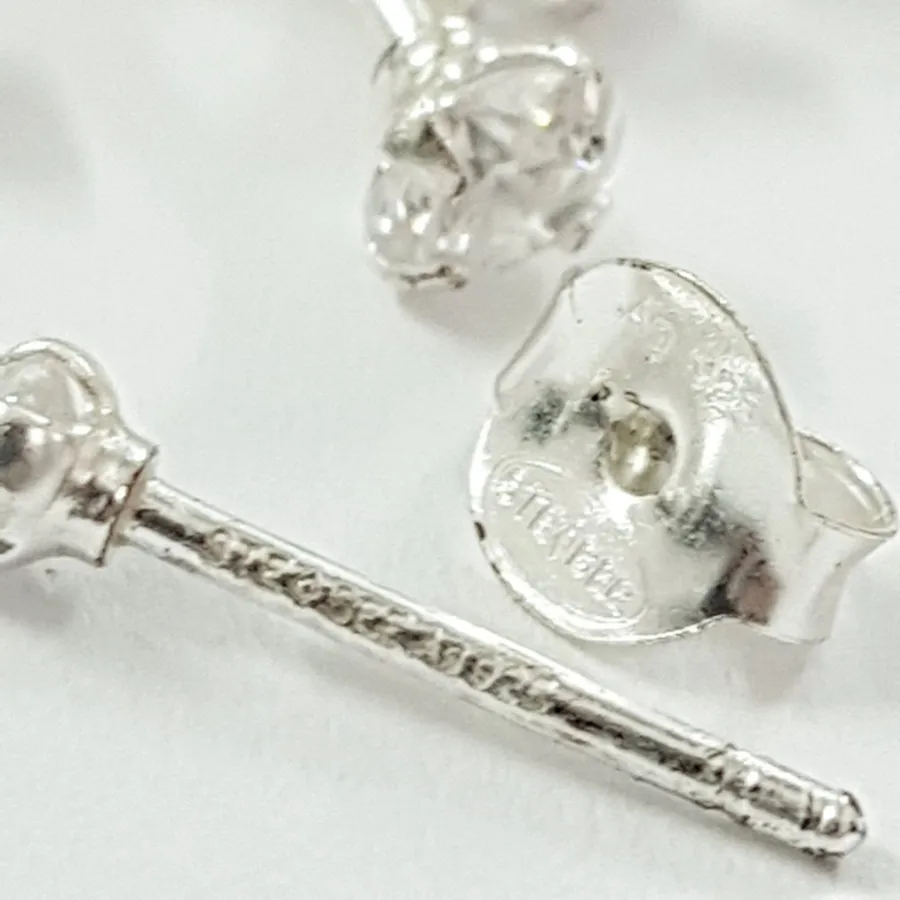 پک گوشواره گلگوش نقره 925