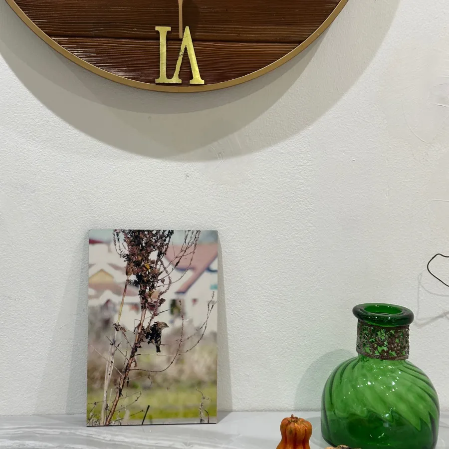 تابلو عکس دکوری گنجشک