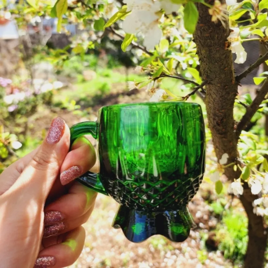 6عدد فنجون سبز