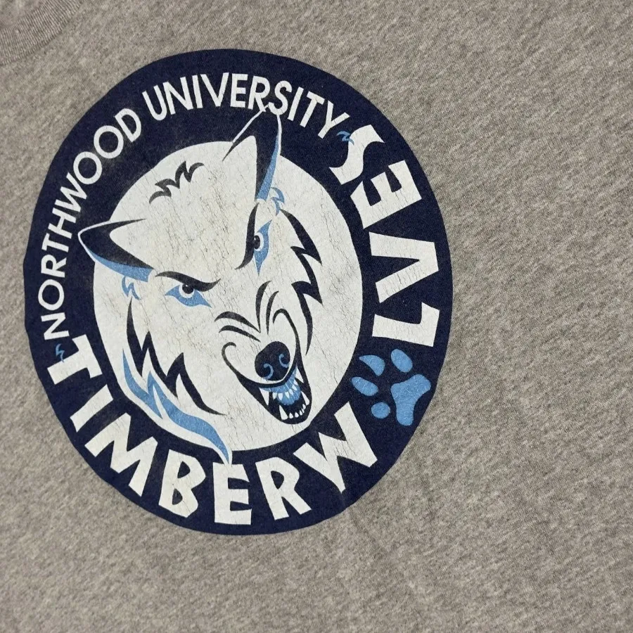 تیشرت مردانه وارداتی