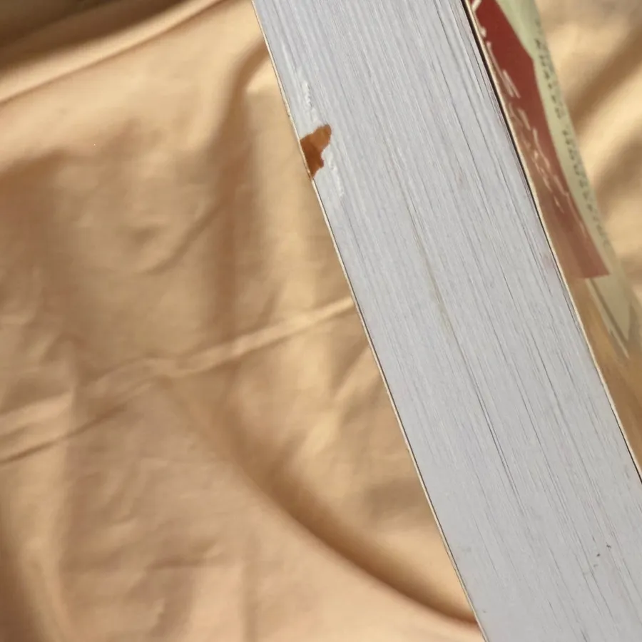 بادبادک باز راه معاصر