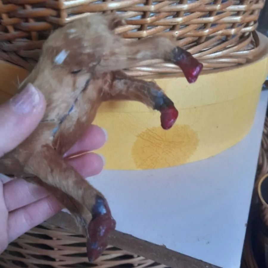 مجسمه قدیمی