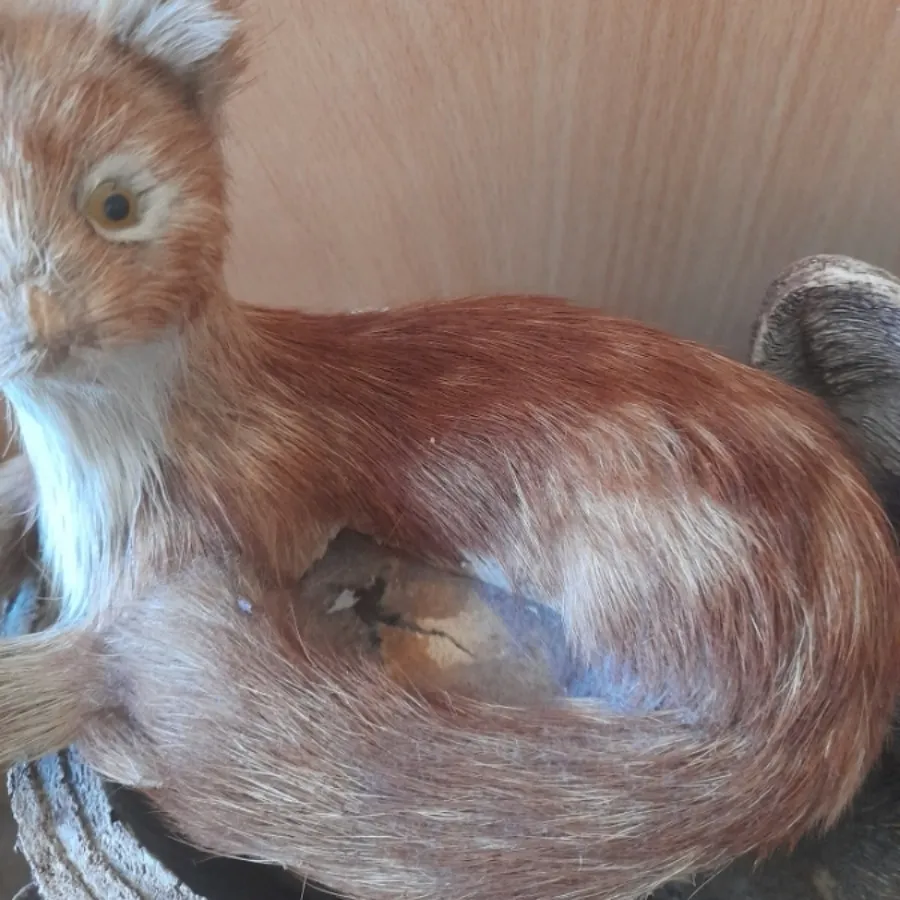 مجسمه قدیمی