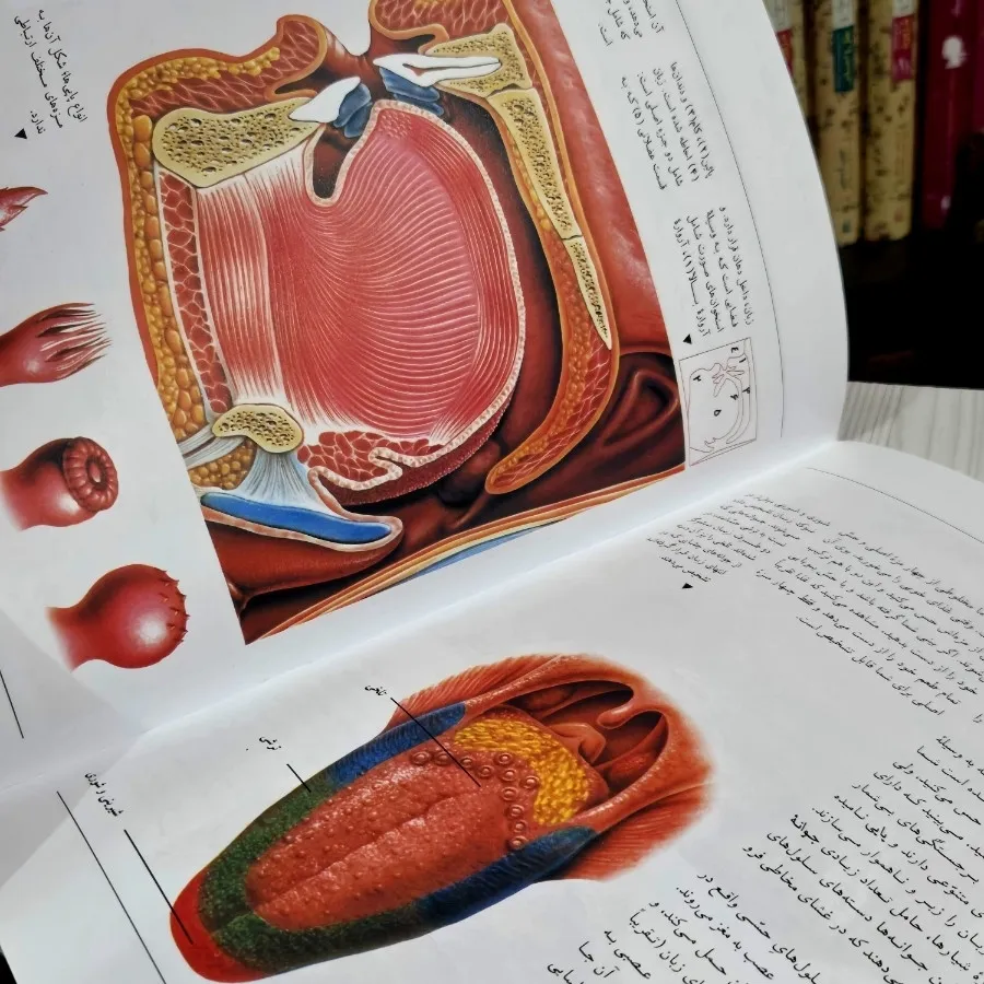 حواس پنچگانه دستگاه گوارش
