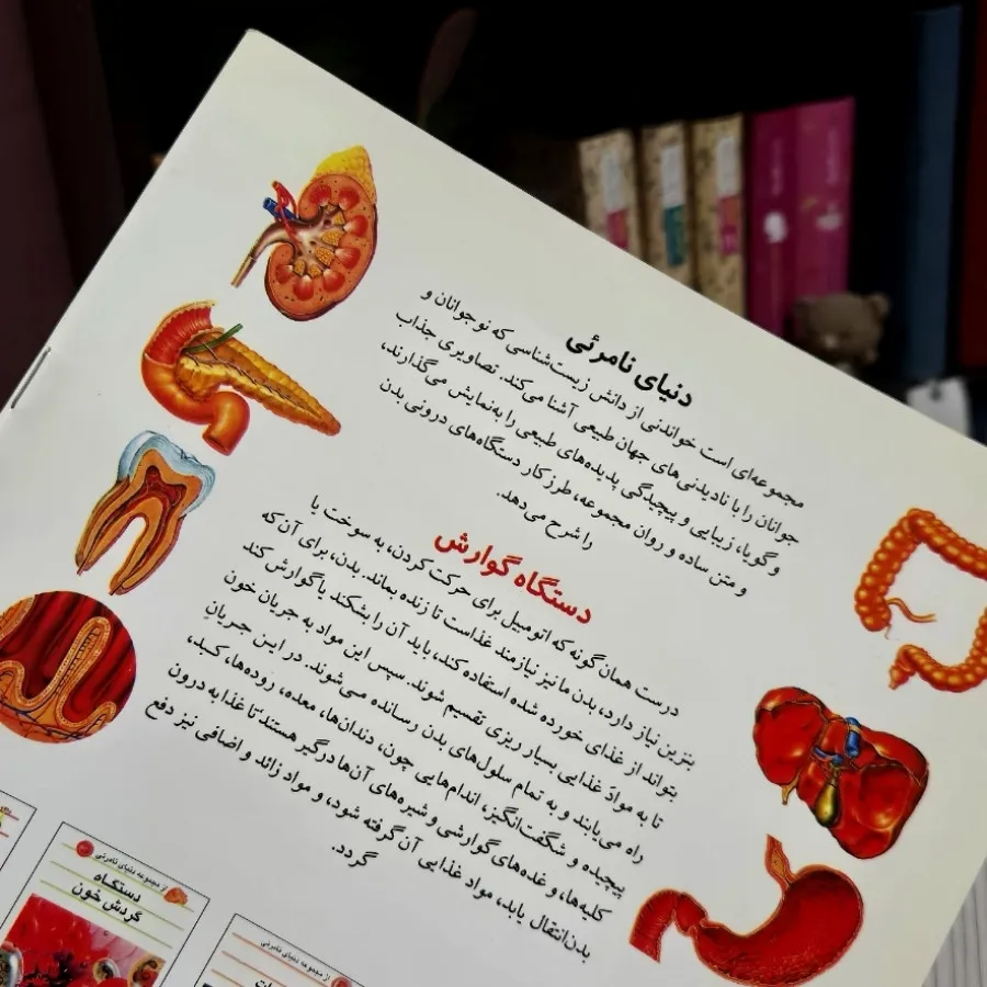 حواس پنچگانه دستگاه گوارش