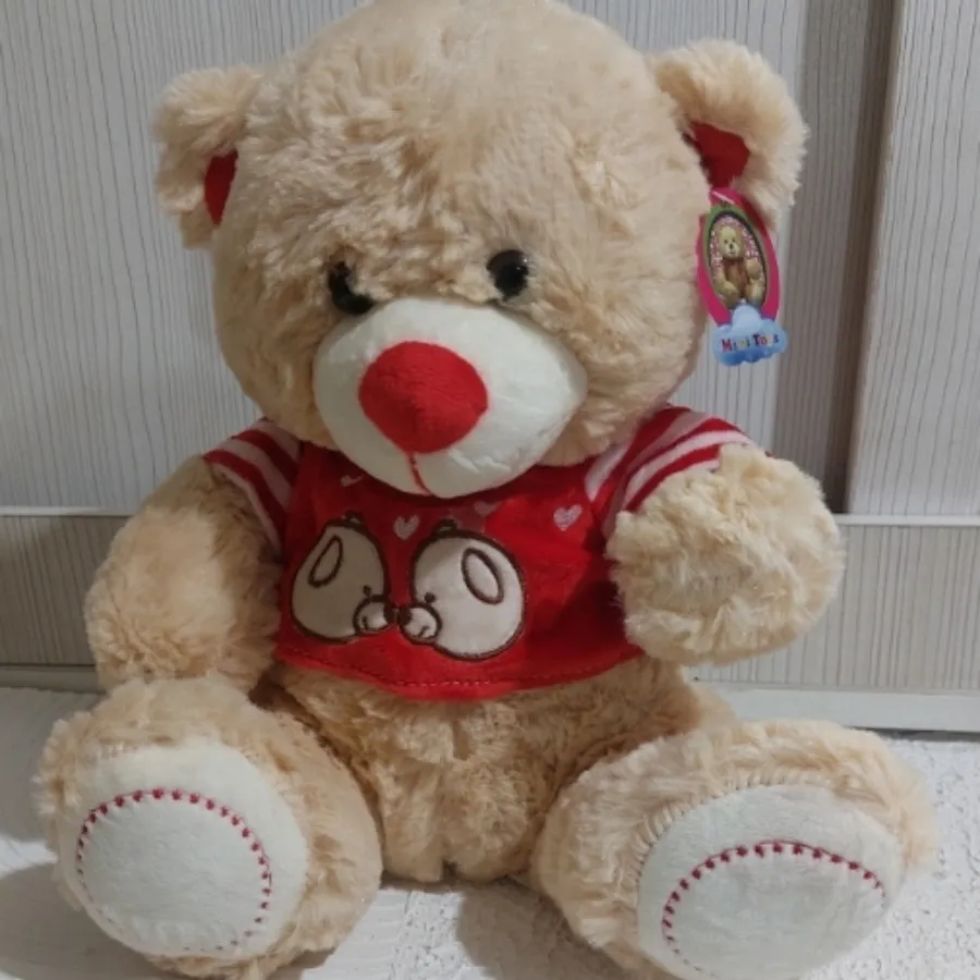 عروسک خرس پولیشی