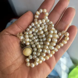 مرواریددریایی اصل پهلوی