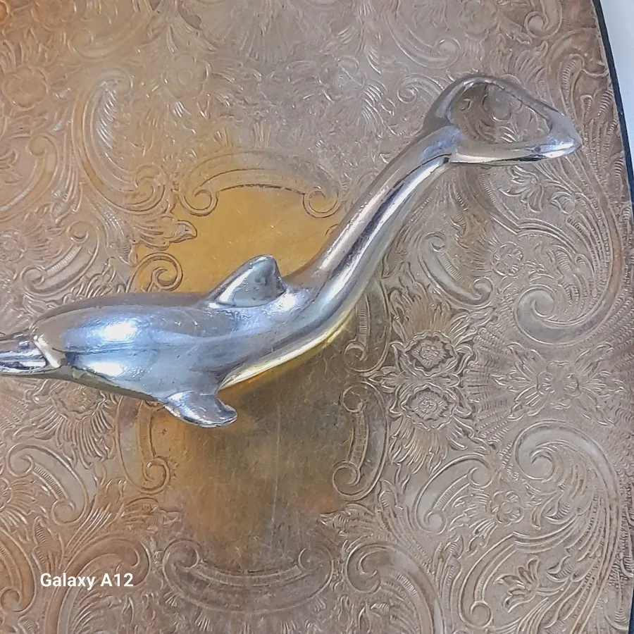 دربازکن دلفین