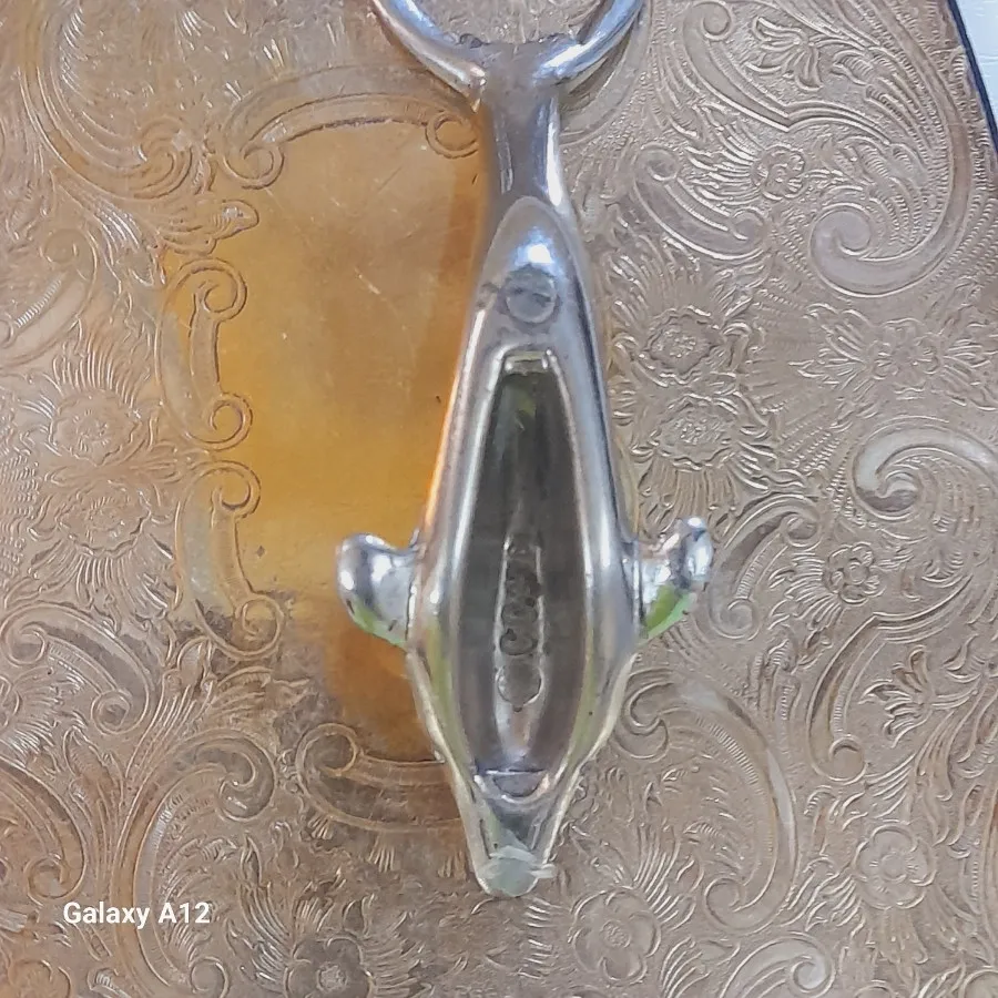 دربازکن دلفین