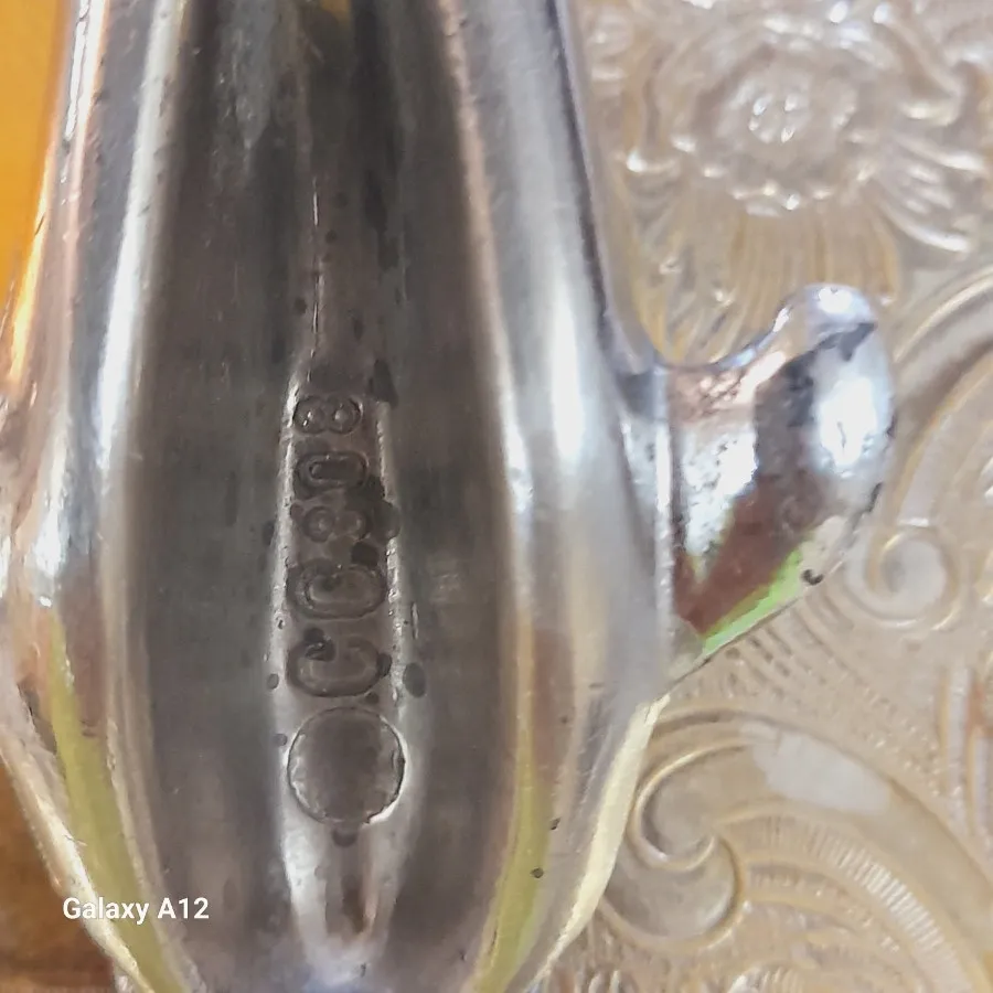 دربازکن دلفین