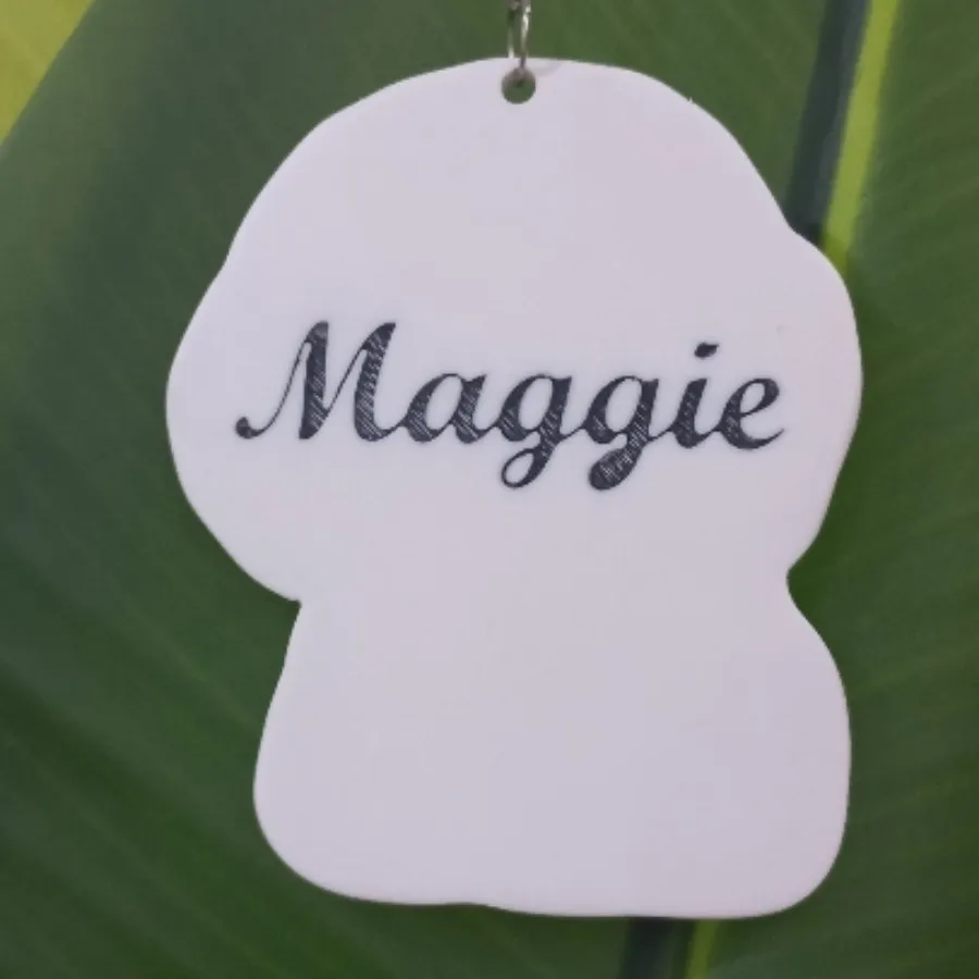 جاسوییچی فانتزی طرح هاپو