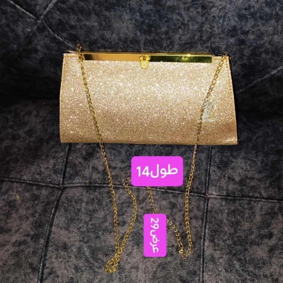 کیف مجلسی LV