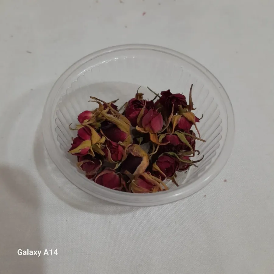 چند مدل گل رز مینیاتوری