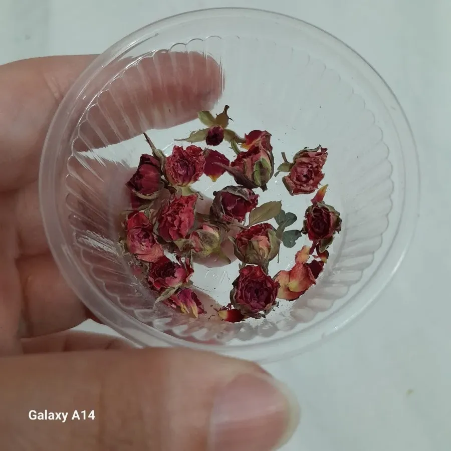 چند مدل گل رز مینیاتوری