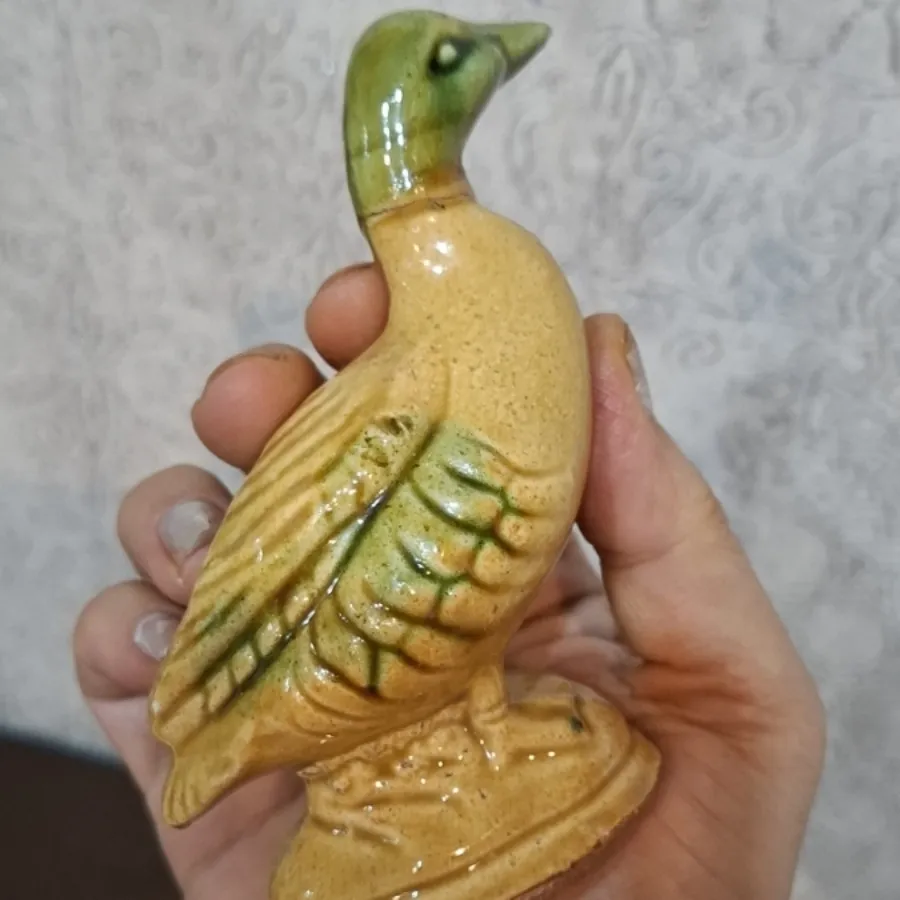 نمکدون اردک 100تومن