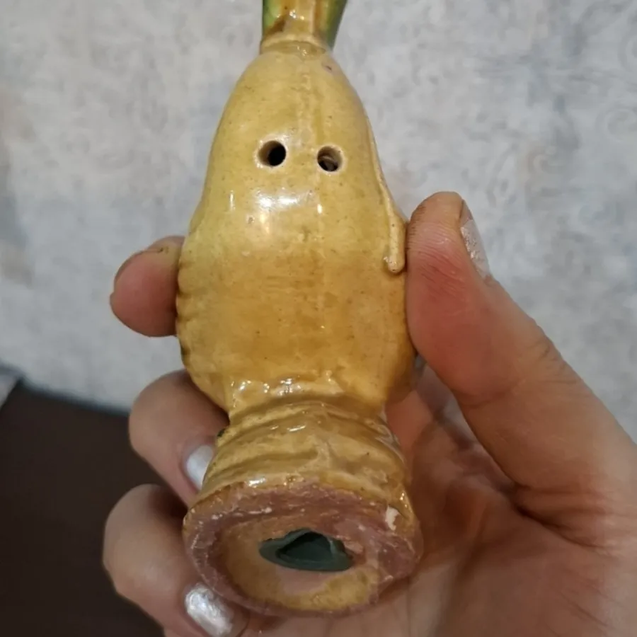 نمکدون اردک 100تومن