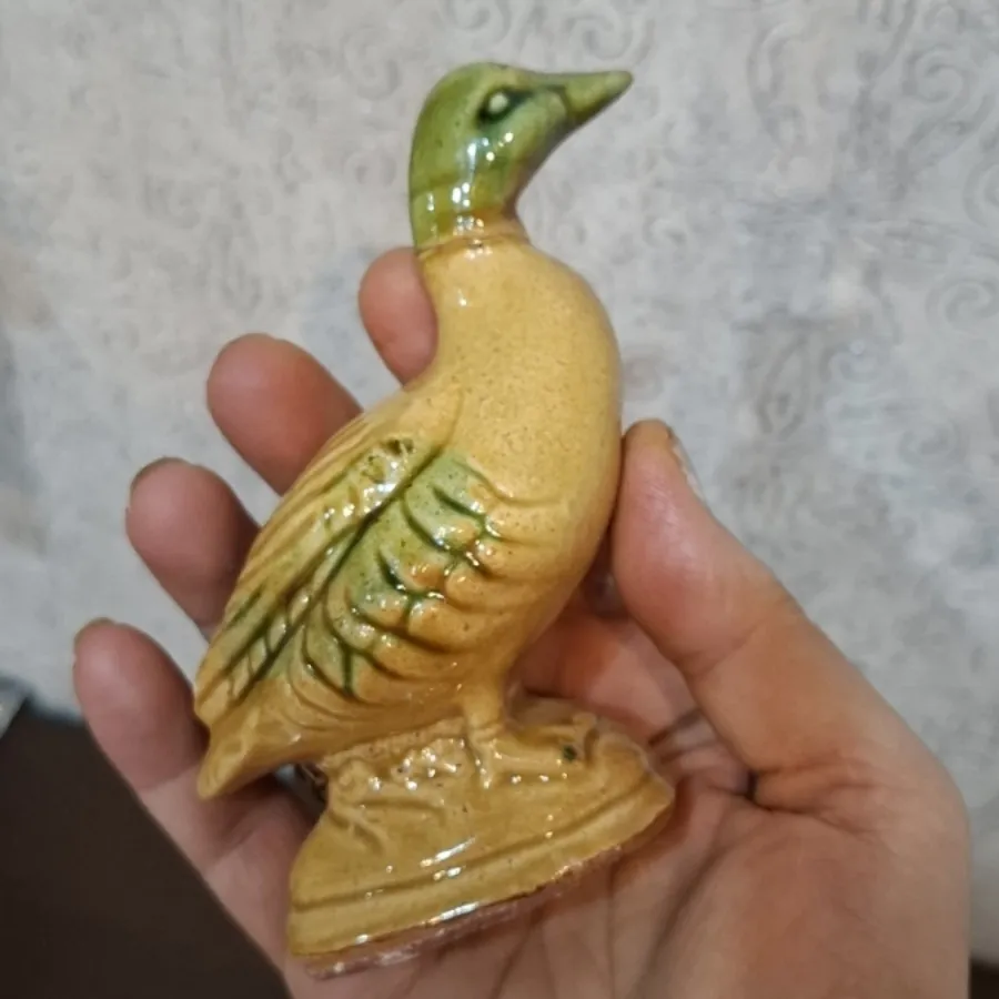 نمکدون اردک 100تومن