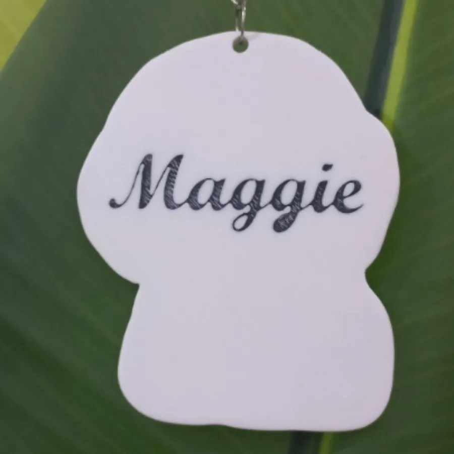 جاسوییچی فانتزی طرح هاپو