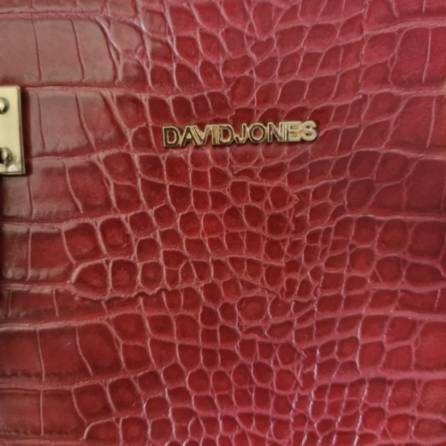 کیف قرمز  دیوید جونز