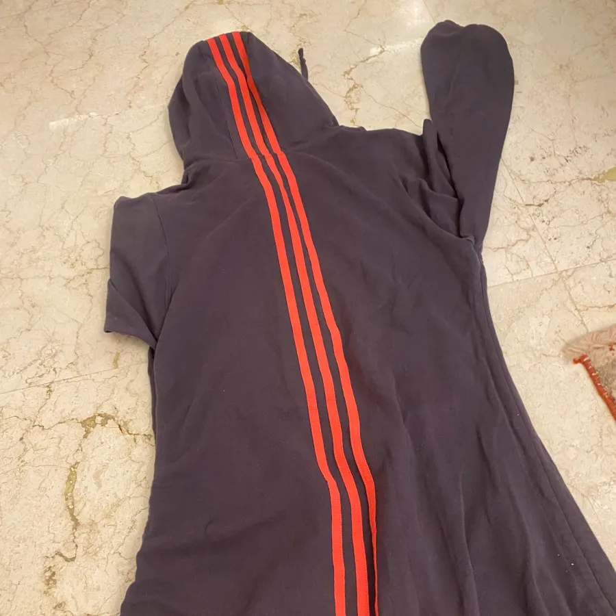 هودی