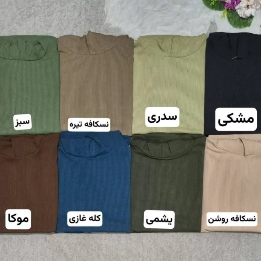 هودی
