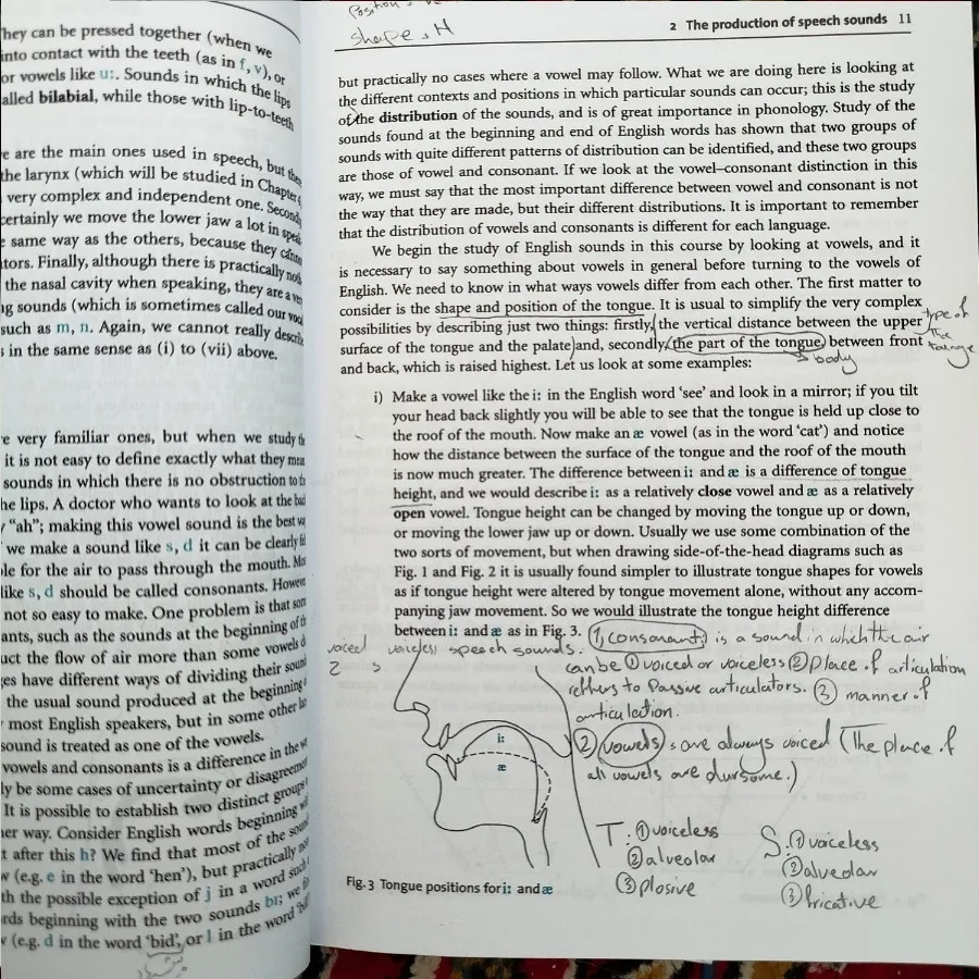 کتاب آوا شناسی