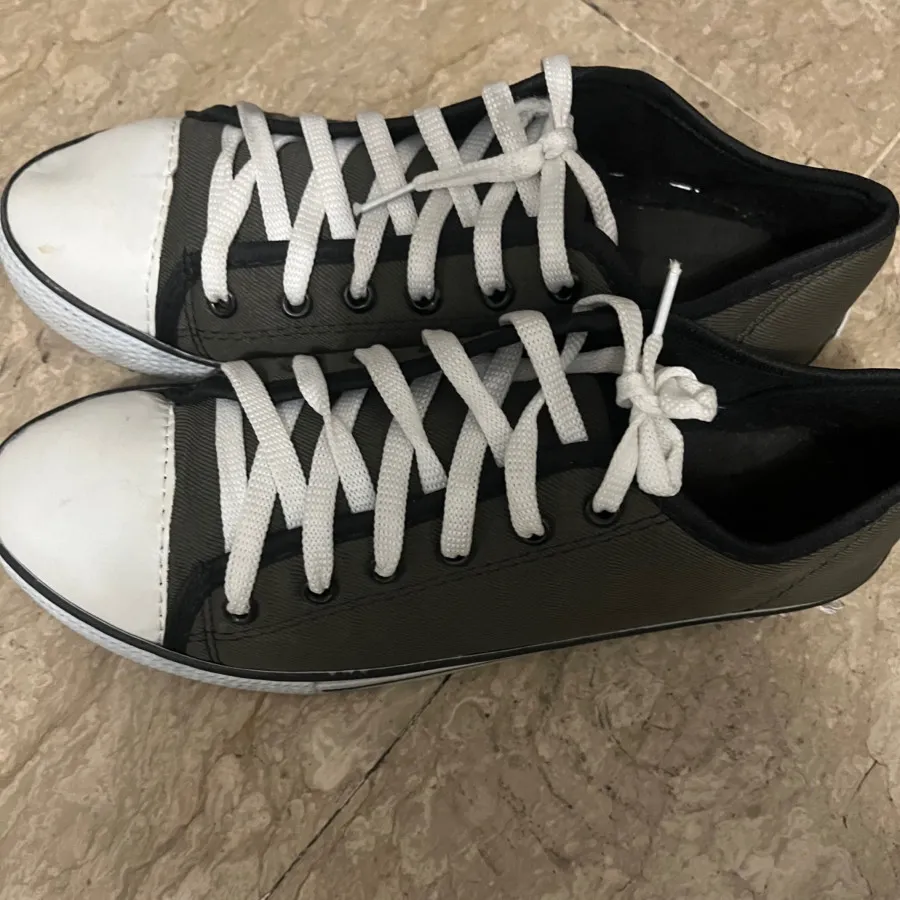 کتونی زیتونی