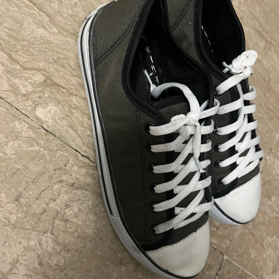 کتونی زیتونی