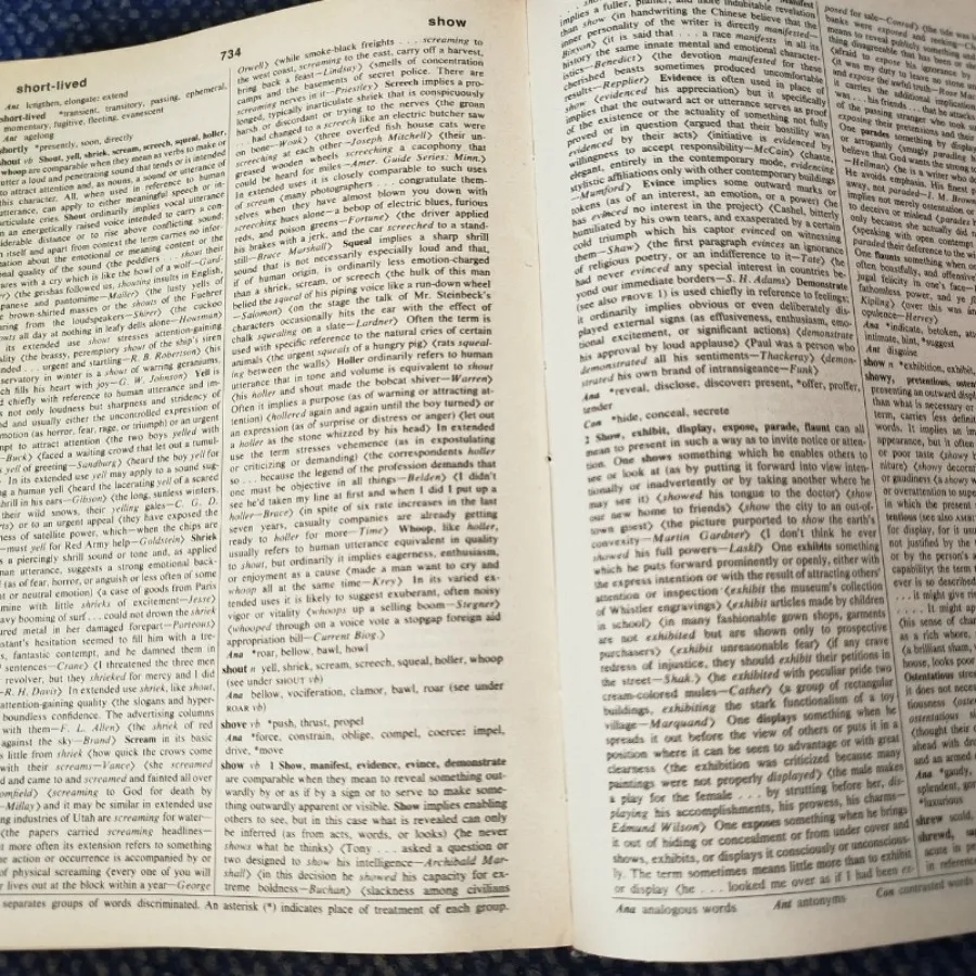 دیکشنری Webster