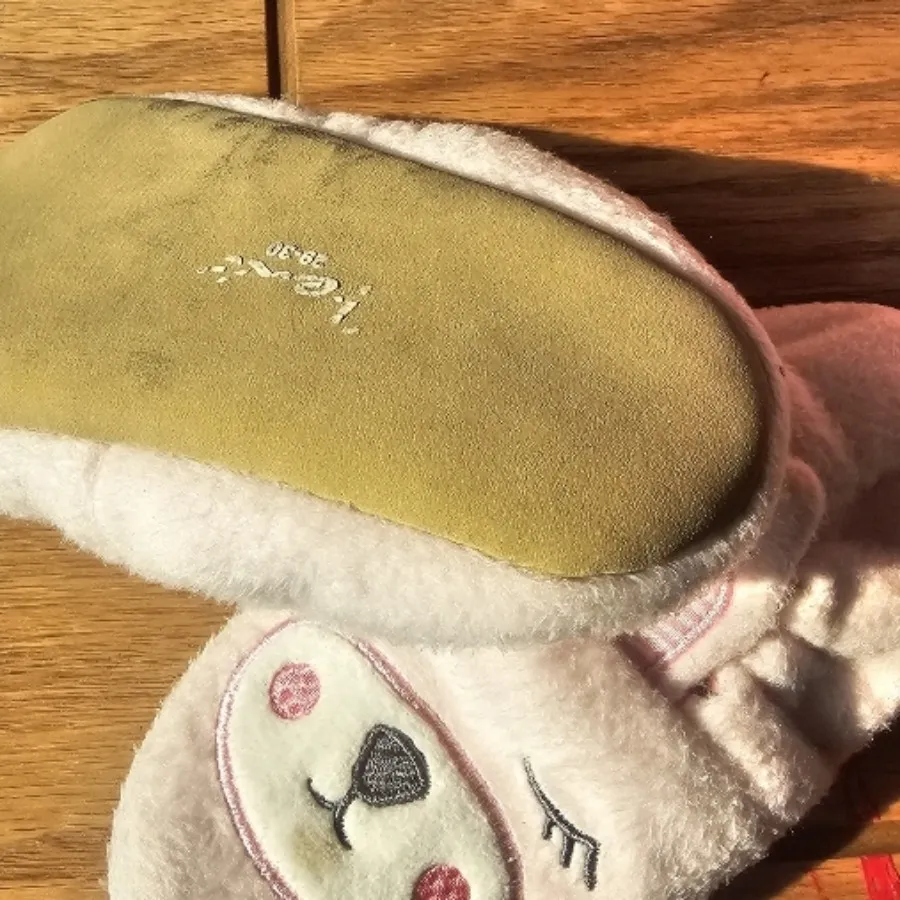 پاپوش زمستانی پنتی