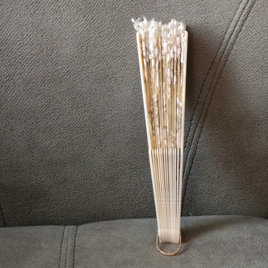 بادبزن مجلسی