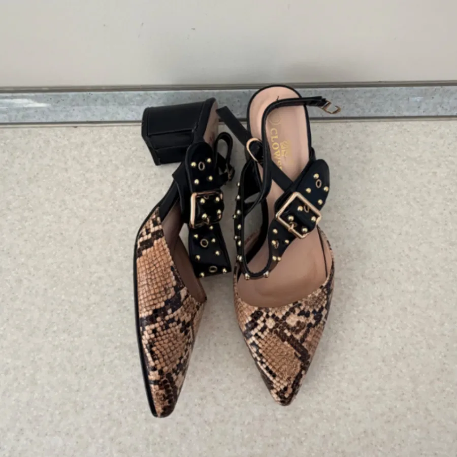 کفش پوست ماری